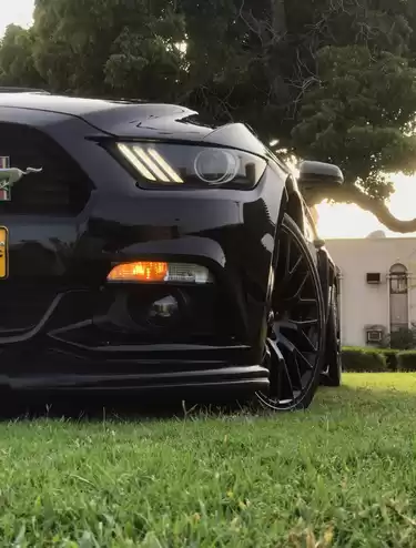 استفاده شده Ford Mustang برای فروش که در دوحه #5340 - 1  image 